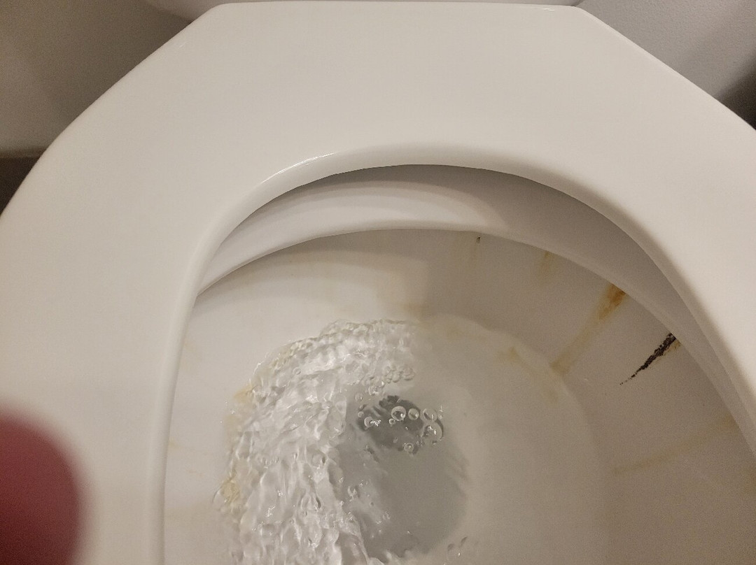 罗克福尔斯丽怡酒店主图