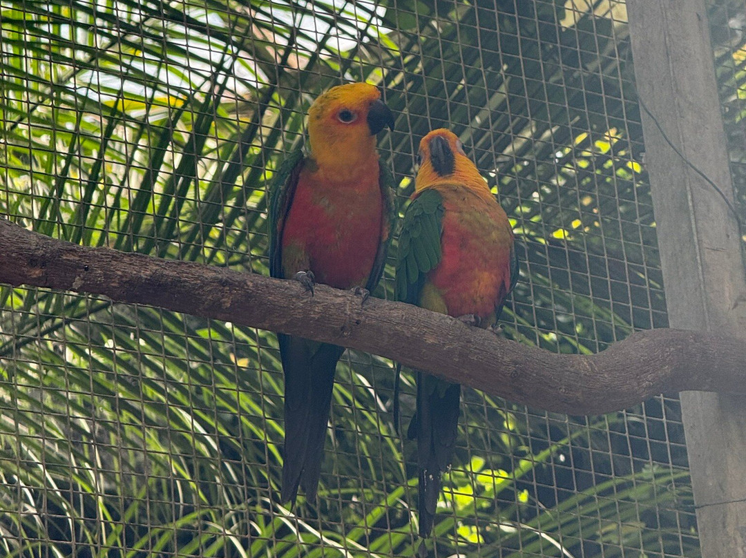 Butterfly Park-Castello d'Empuries必去景点