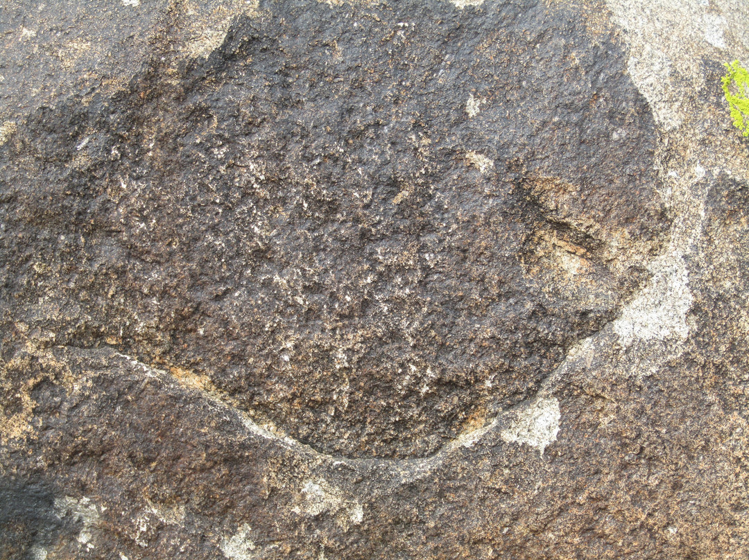 Museum of Petroglyphs-乔尔蓬阿塔必去景点