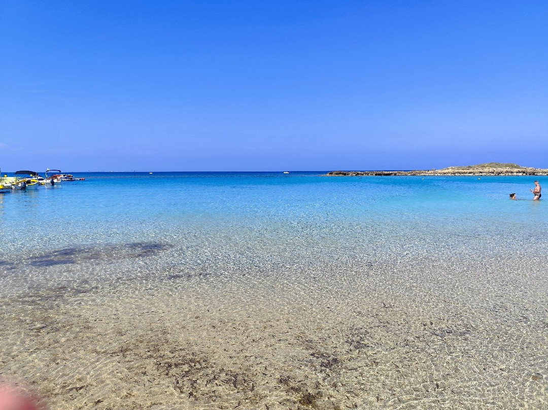 Fig Tree Bay Beach-普它肋斯必去景点