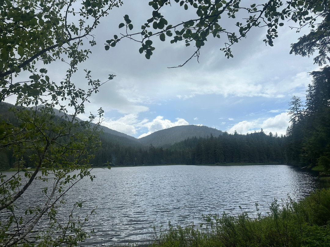 Tongass National Forest-凯奇坎必去景点
