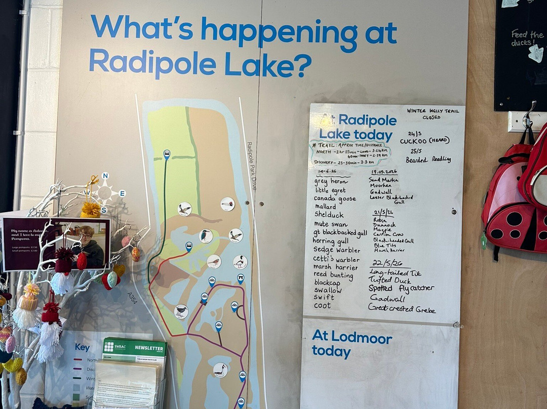 RSPB Weymouth Wetlands at Radipole Lake Nature Reserve-韦茅斯必去景点
