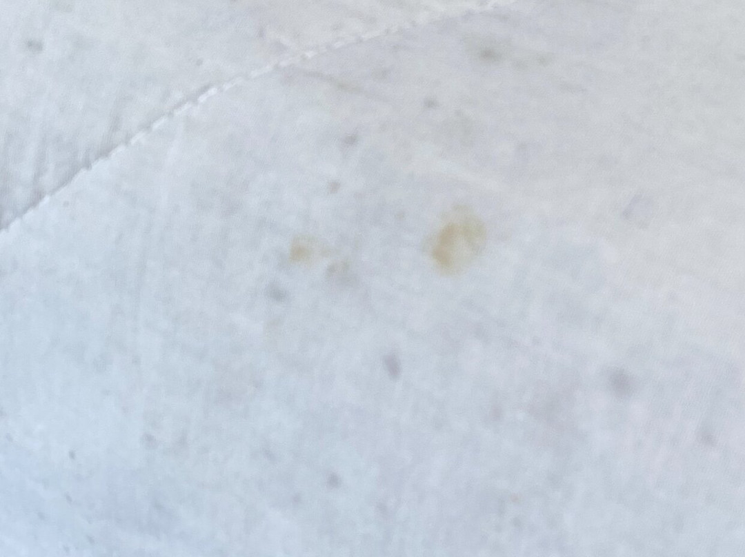 缪斯酒店主图
