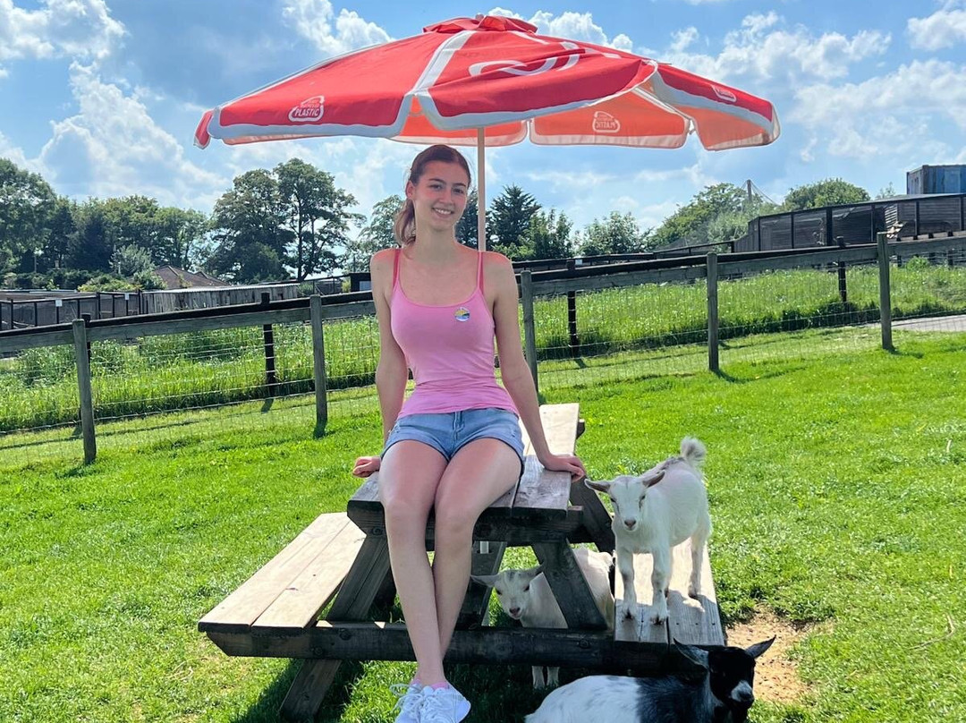 Chew Valley Animal Park-Chew Magna必去景点