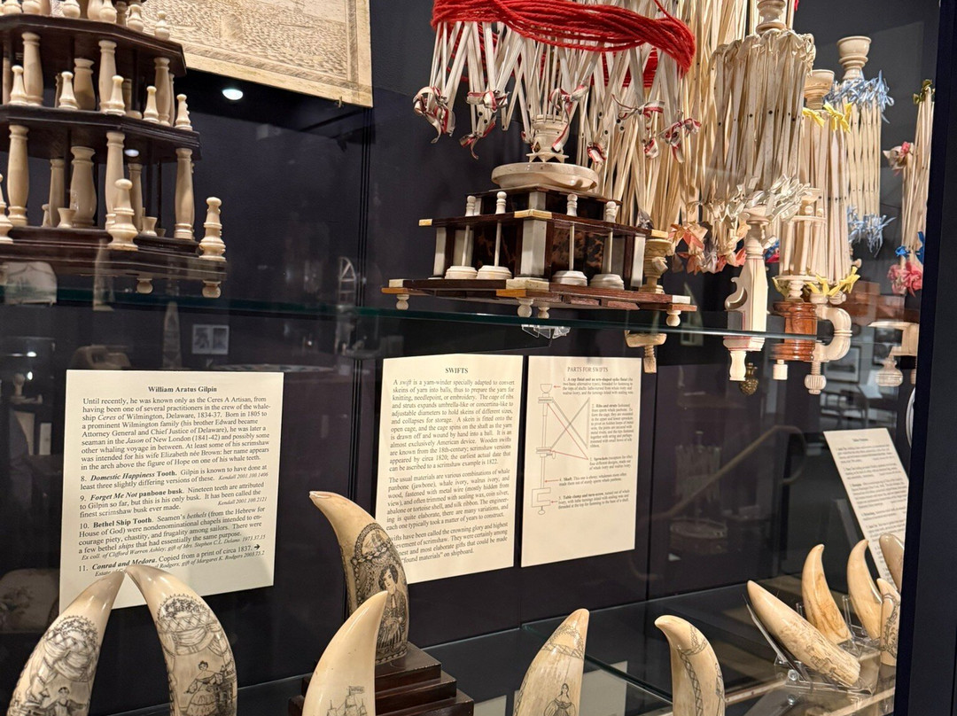 New Bedford Whaling Museum-新贝德福德必去景点