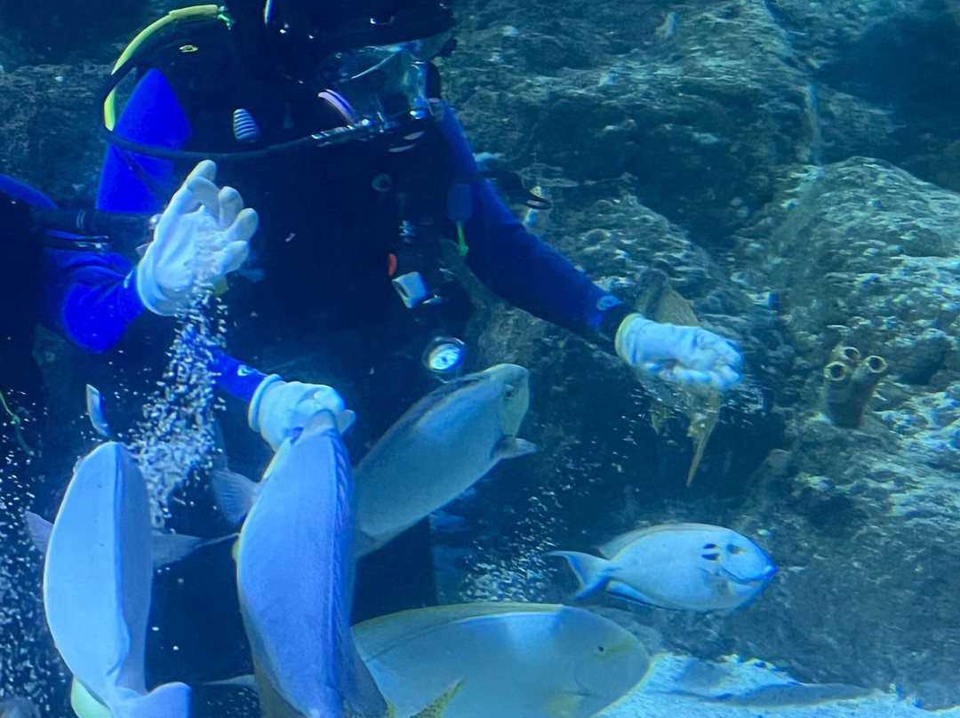 Skegness Aquarium-斯凯格内斯必去景点