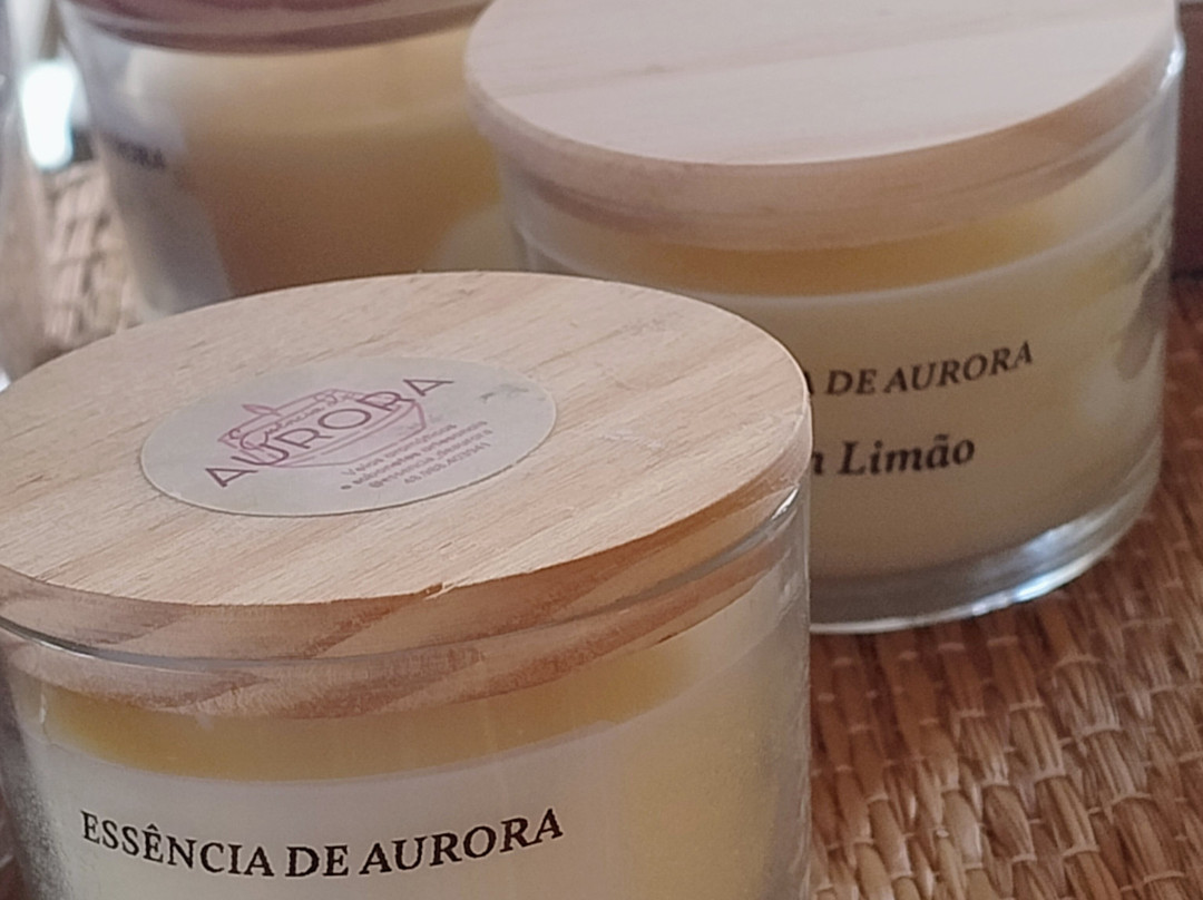 Espaço Encontro das Artes-Palhoca必去景点