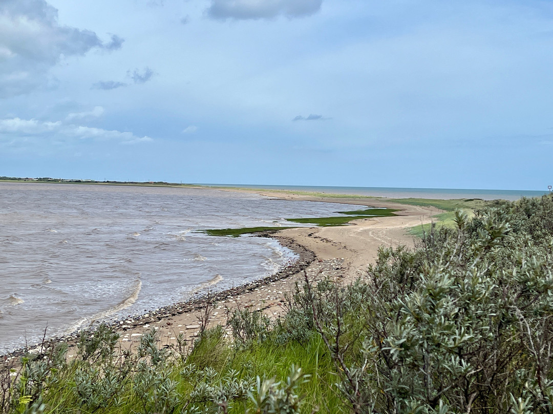 Spurn Bird Observatory-Kilnsea必去景点