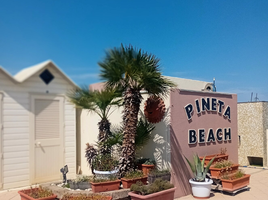 Bagno Pineta Beach-Lido degli Estensi必去景点