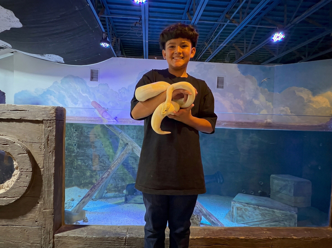 Clearfield旅游景点-Layton Aquarium & Wildlife Encounters