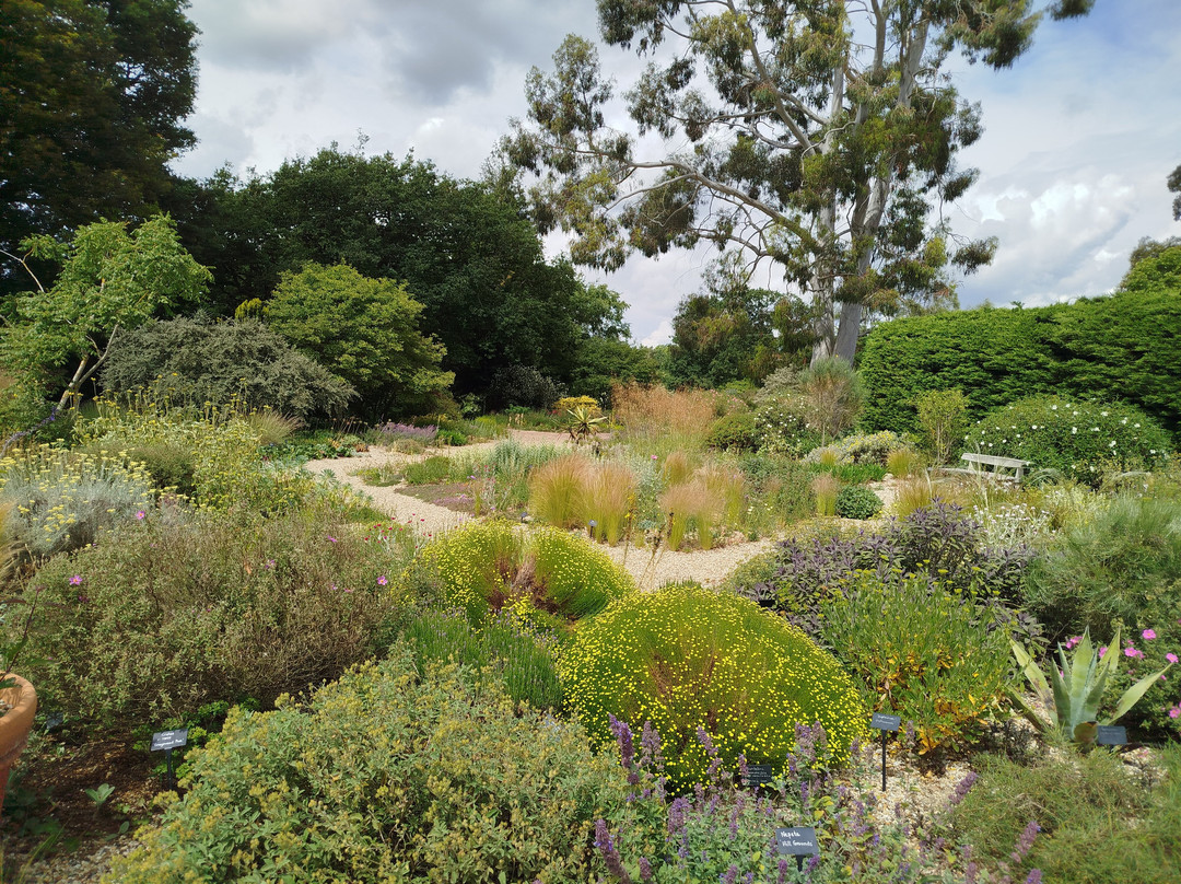 Beth Chatto's Plants & Gardens-科尔切斯特必去景点