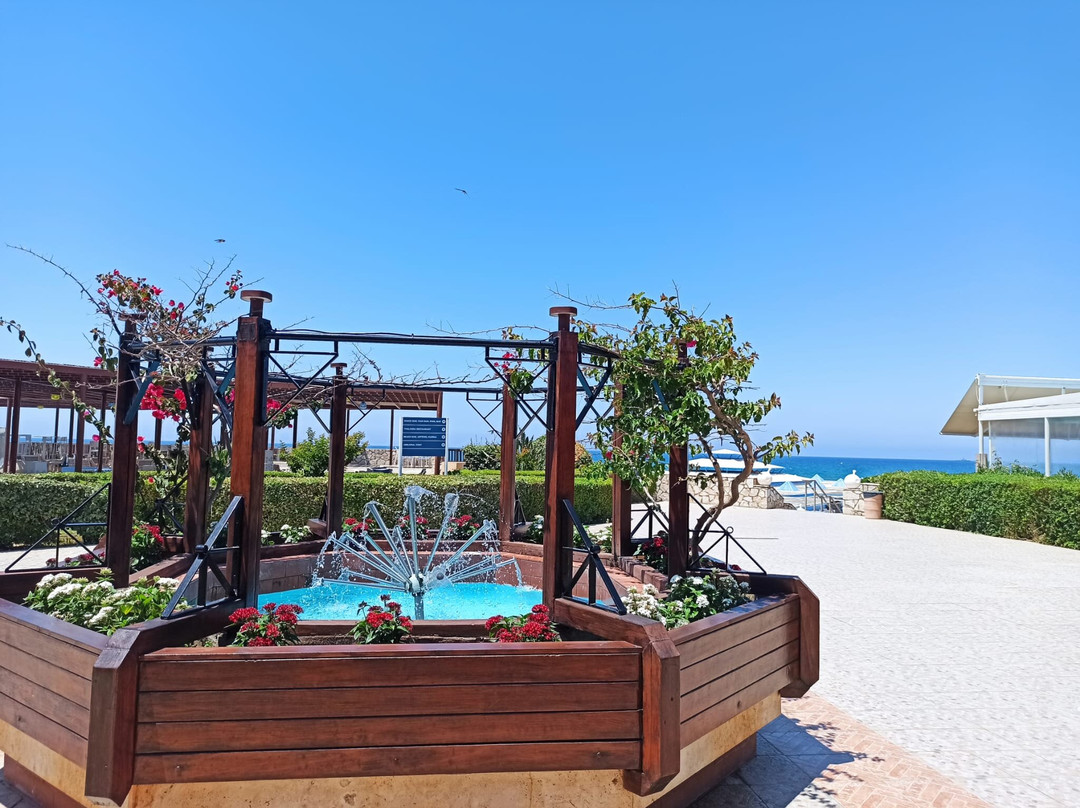 Olympia Village Hotel主图