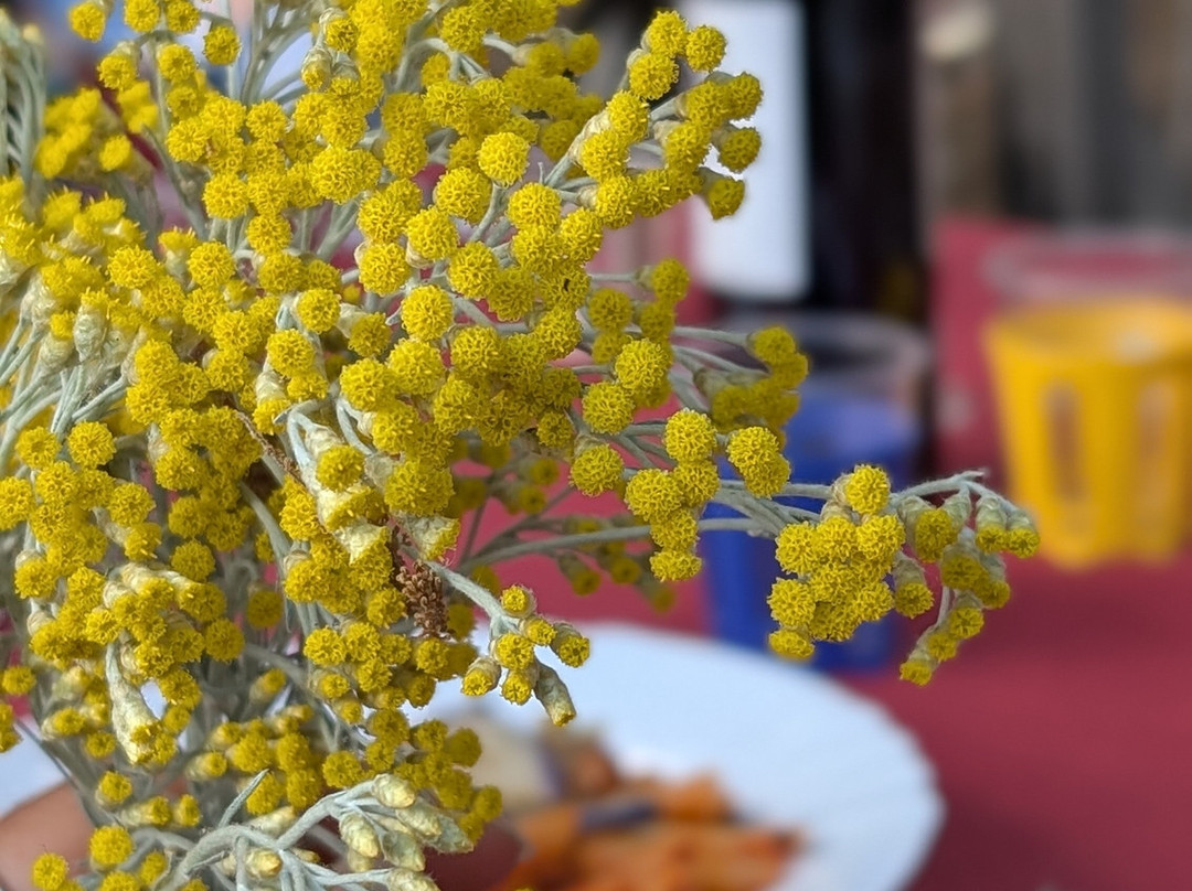 Turi Eccellenze dell'Etna-Randazzo必去景点