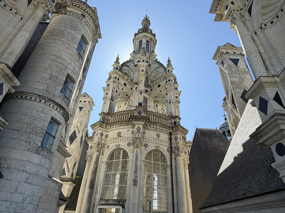 Riverloire - Loire Valley Day Tours-昂布瓦斯必去景点