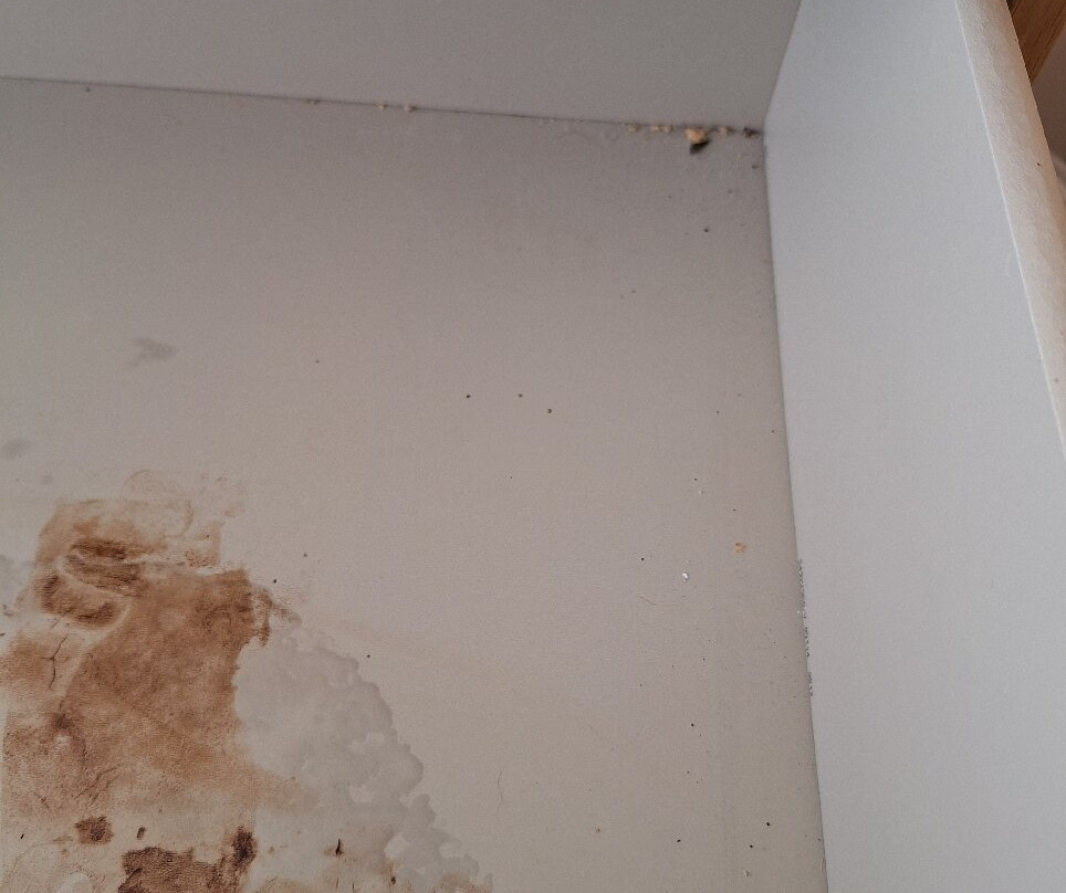 威灵顿公爵酒店主图