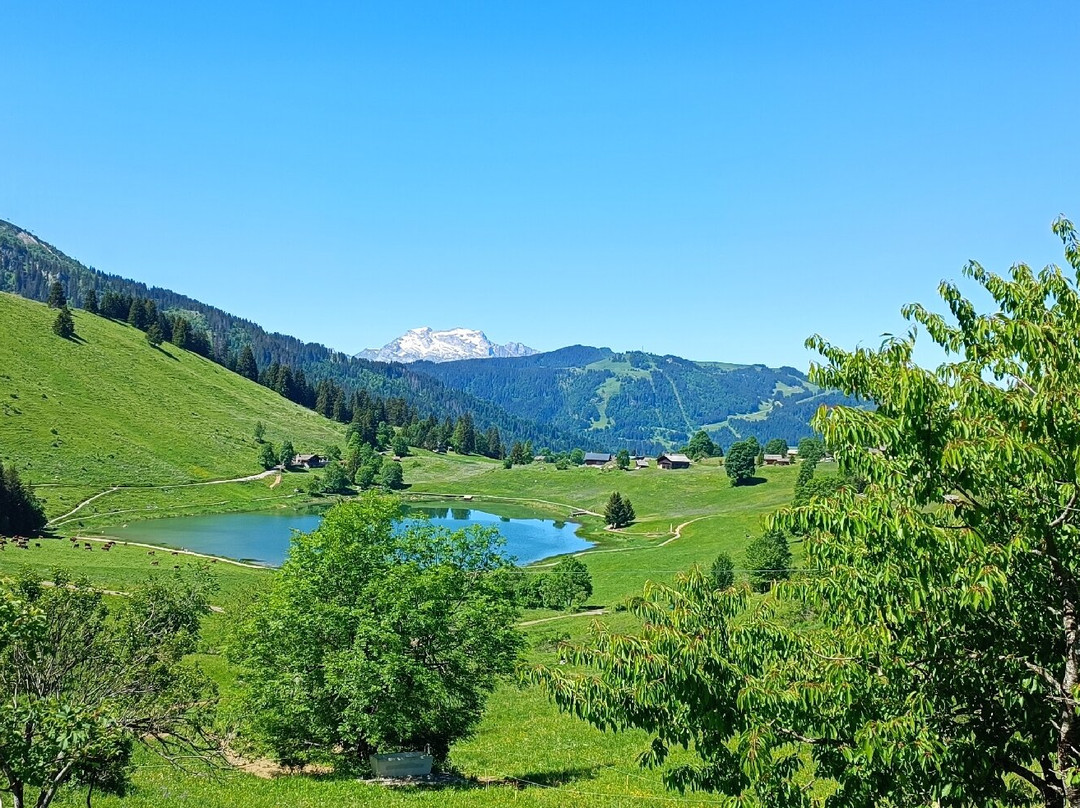 Lac Des Confins-拉克吕萨必去景点
