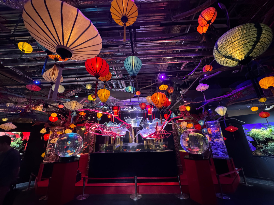 Uws Aquarium Ga Kyo