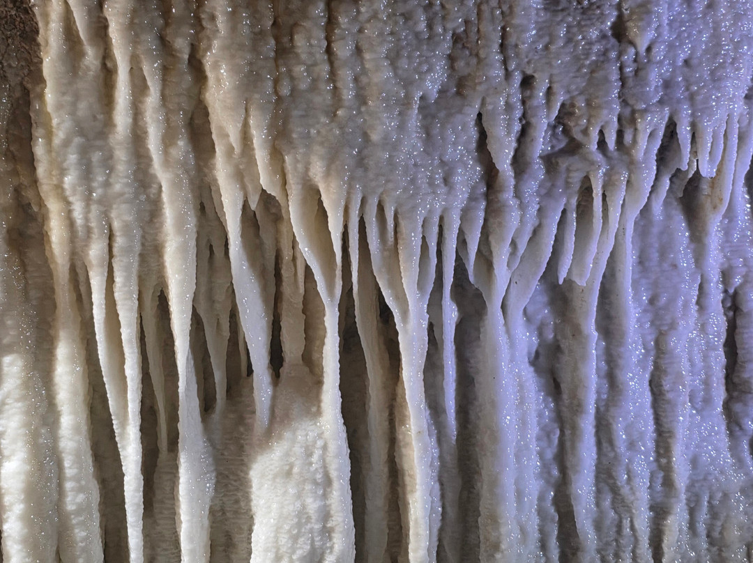 Harrison's Cave Eco-Adventure Park-Saint Thomas Parish必去景点