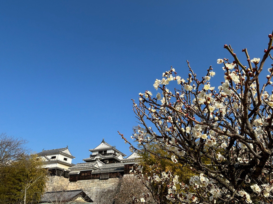 松山城-松山市必去景点