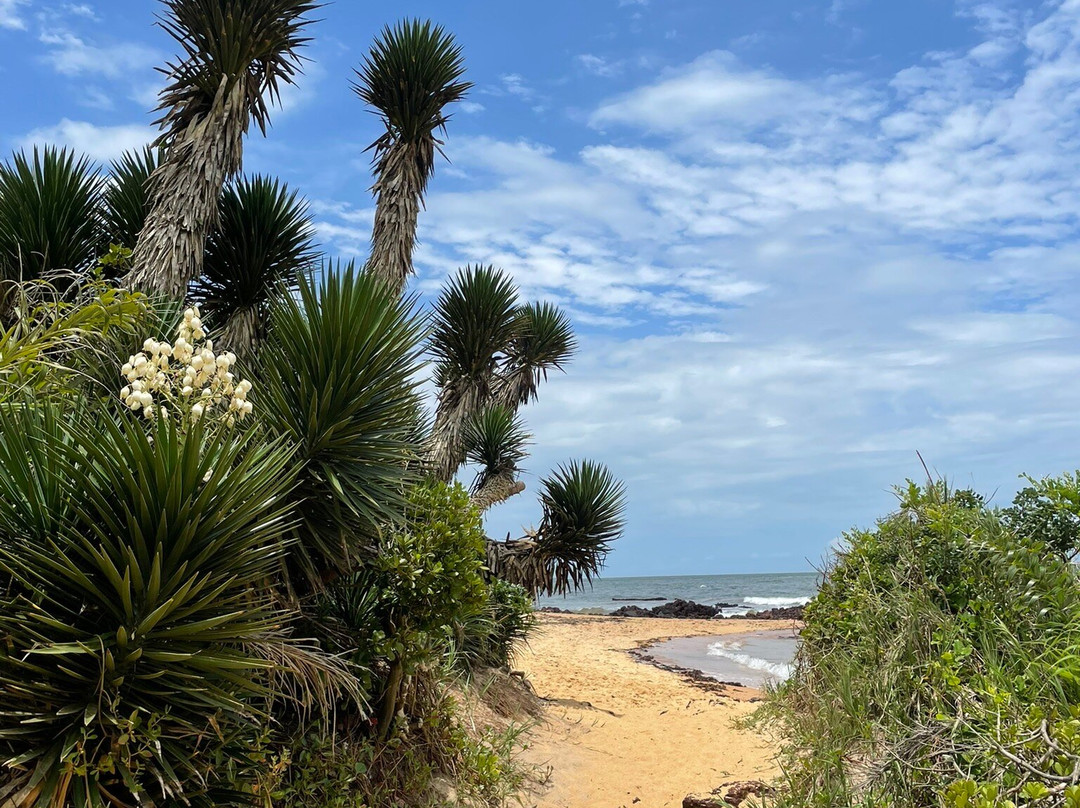 Praia dos Castelhanos-Anchieta必去景点