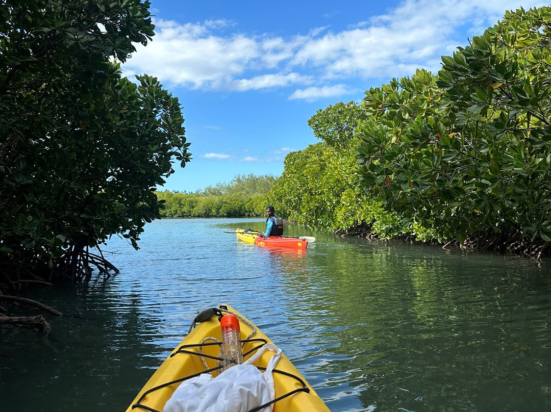 Sea Kayak Adventures-毛里求斯必去景点