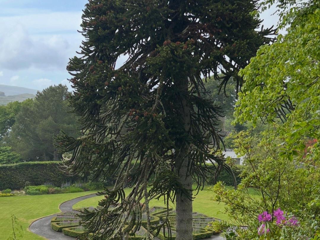 Dunvegan Castle & Gardens-Dunvegan必去景点