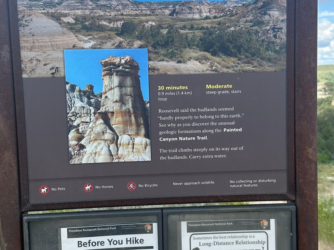 Painted Canyon Overlook-Theodore Roosevelt National Park必去景点