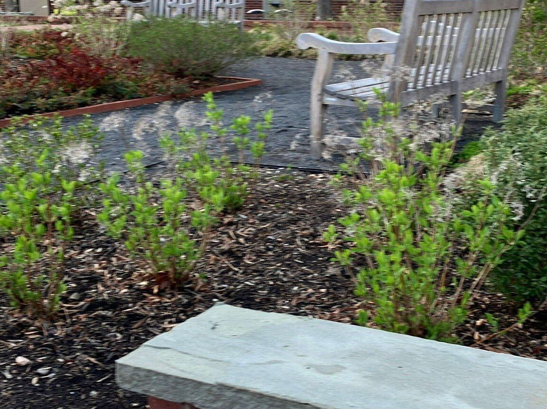 Benjamin Rush Garden-费城必去景点