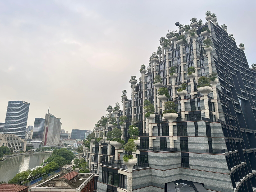 大洋晶典·天安千树