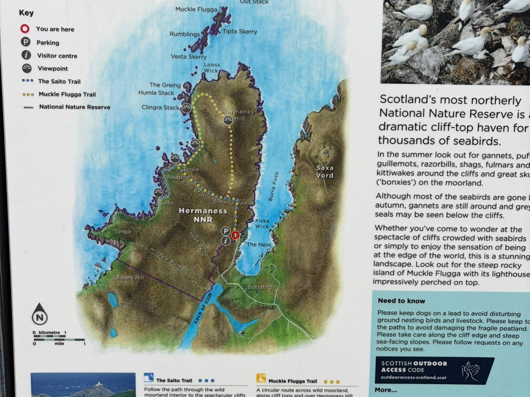 Hermaness National Nature Reserve-Unst必去景点