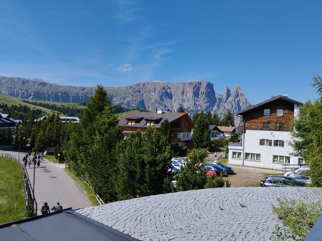 Seiser Alm Bahn - Cabinovia Alpe di Siusi-Alpe di Siusi必去景点