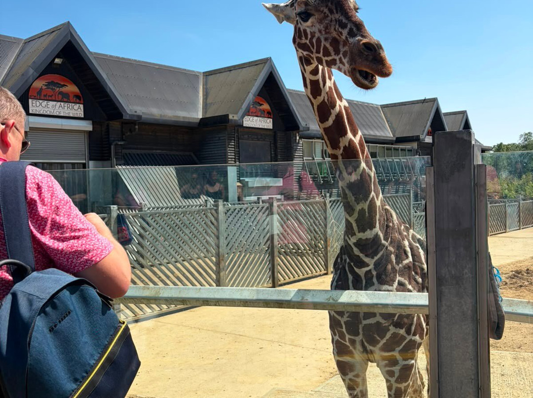 Colchester Zoo-科尔切斯特必去景点