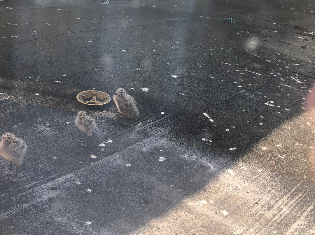 基督城旅客之家酒店主图