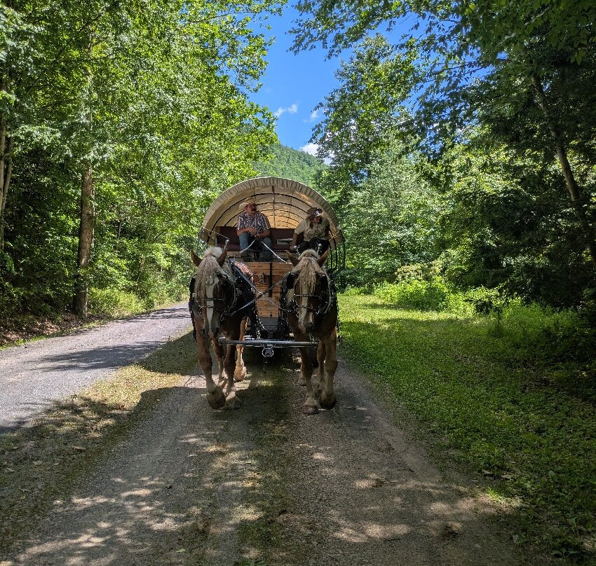 Ole Covered Wagon Tours-Wellsboro必去景点