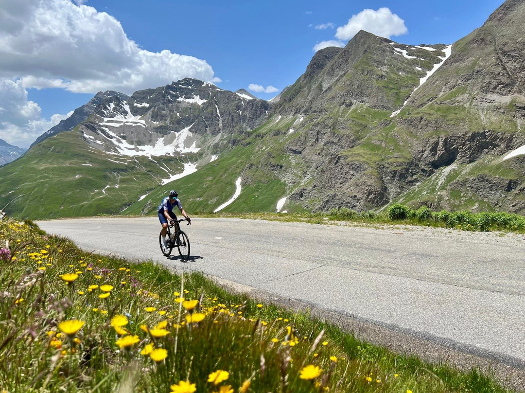 Alpine Cadence Cycling-Bellentre必去景点