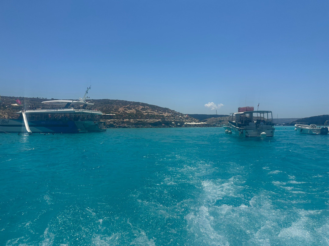 Bella Comino Ferry-姆贾尔必去景点
