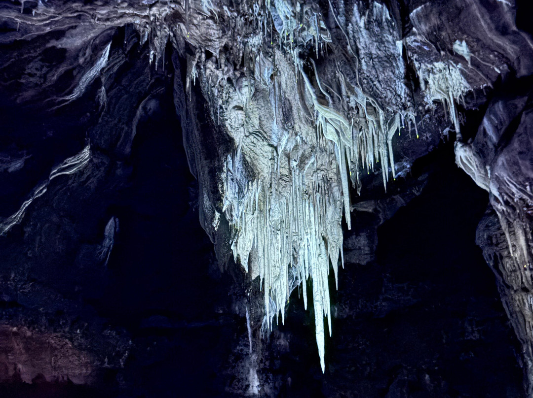 Grottes de Lacave-Lacave必去景点