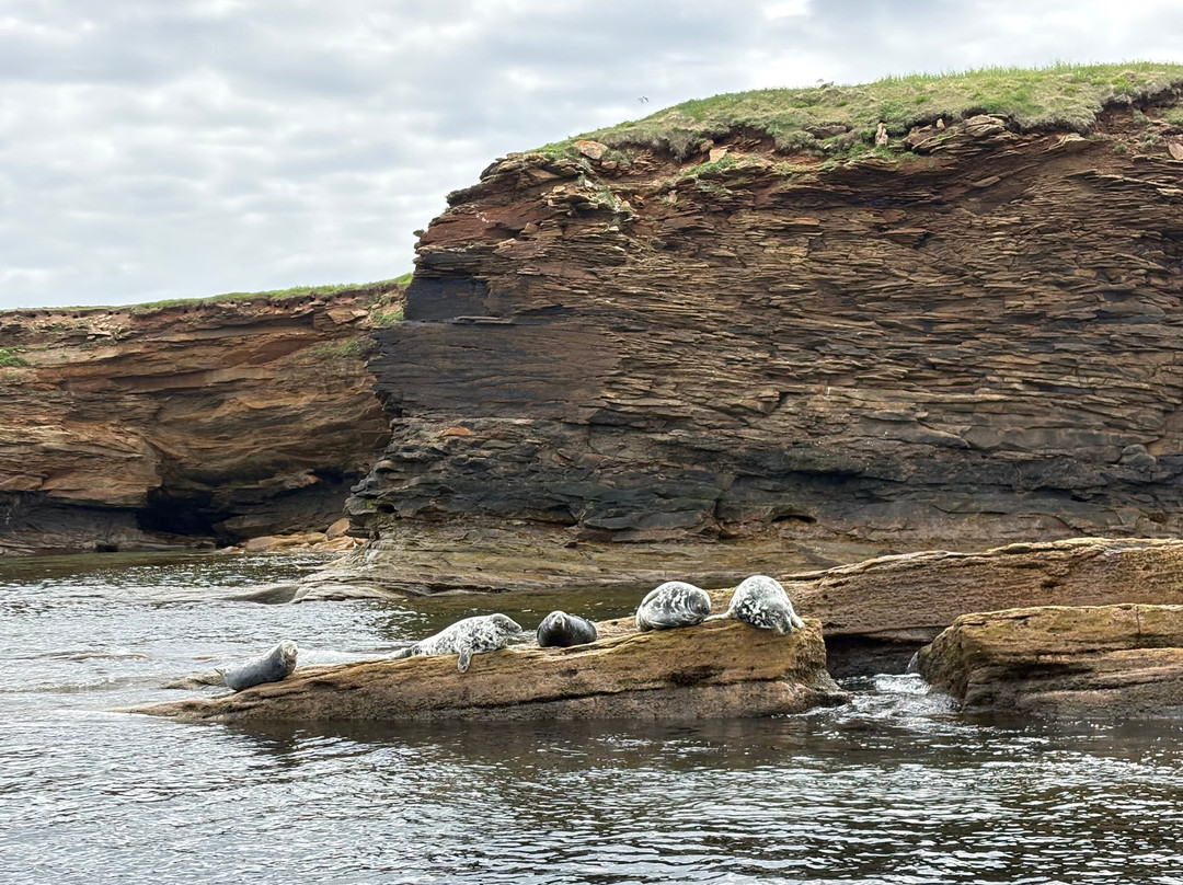 Bird Island Boat Tour-Big Bras d'Or必去景点
