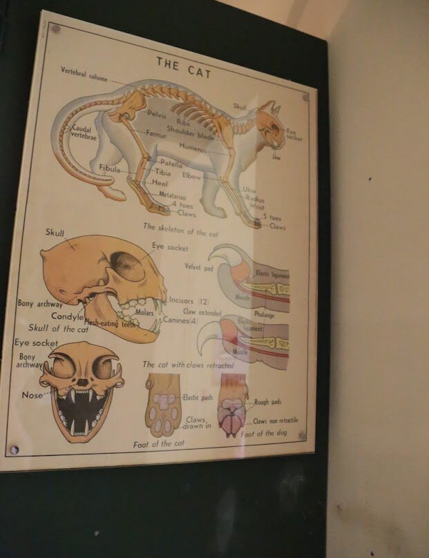 National Museum of Natural History-姆迪纳必去景点