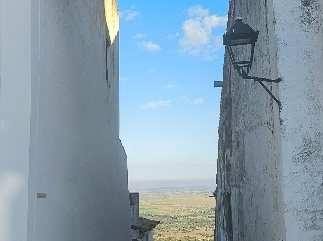 Monsaraz Castle and Walls-蒙萨拉斯必去景点