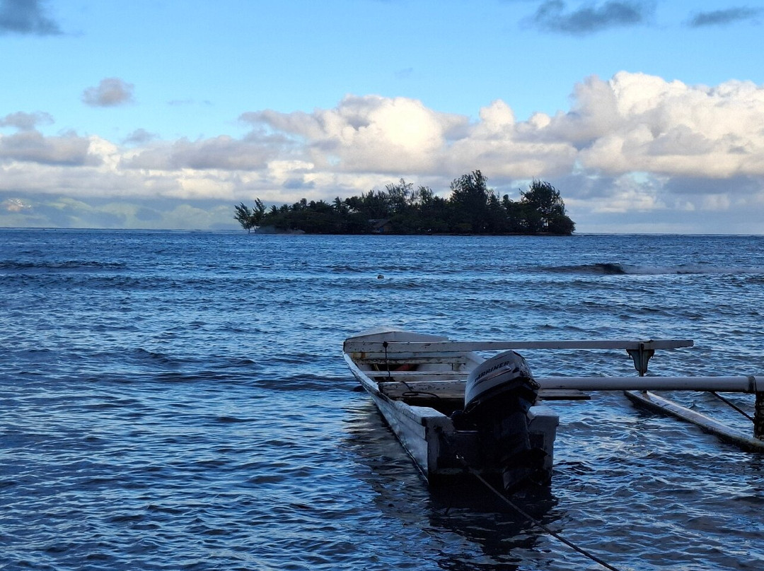 Le Jardin De Corail Du Motu Ahi