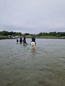 Moycullen Riding Centre-Moycullen必去景点