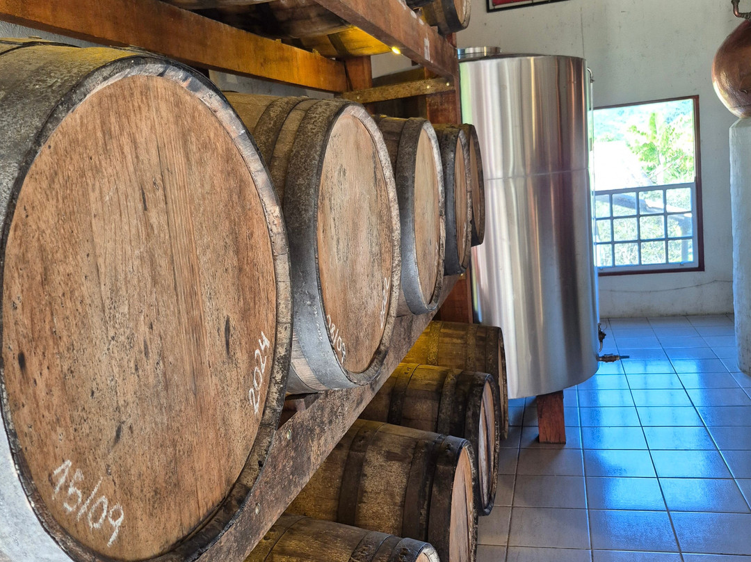 Alambique Cachaça Pedra Branca-帕拉地必去景点