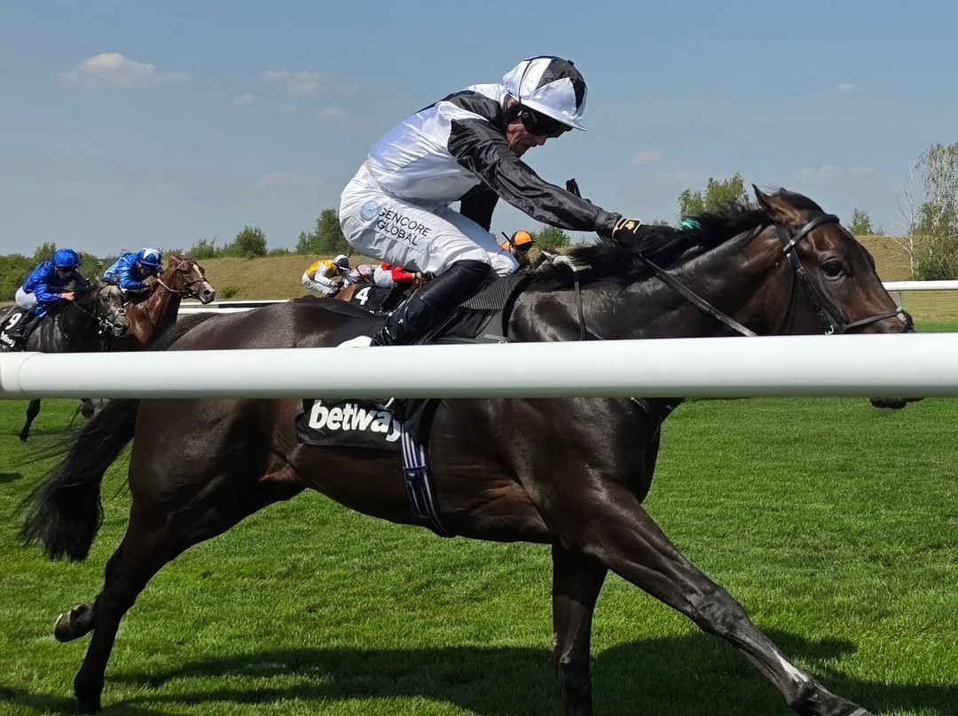 Newmarket Racecourses-纽马克特必去景点
