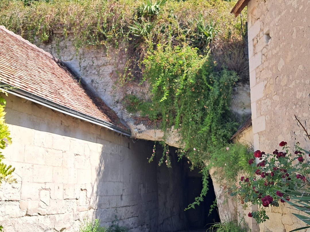 Les Caves Champignonnières Des Roches-Bourre必去景点