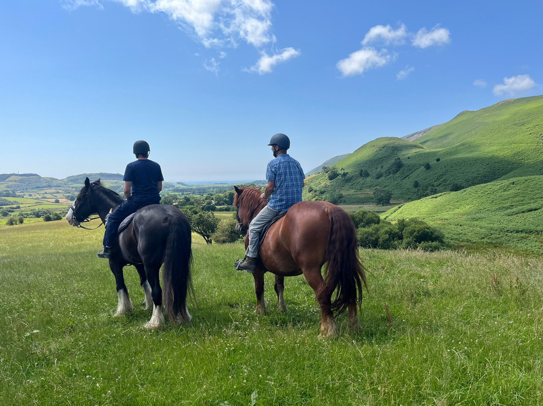 Cumbrian Heavy Horses-Millom必去景点
