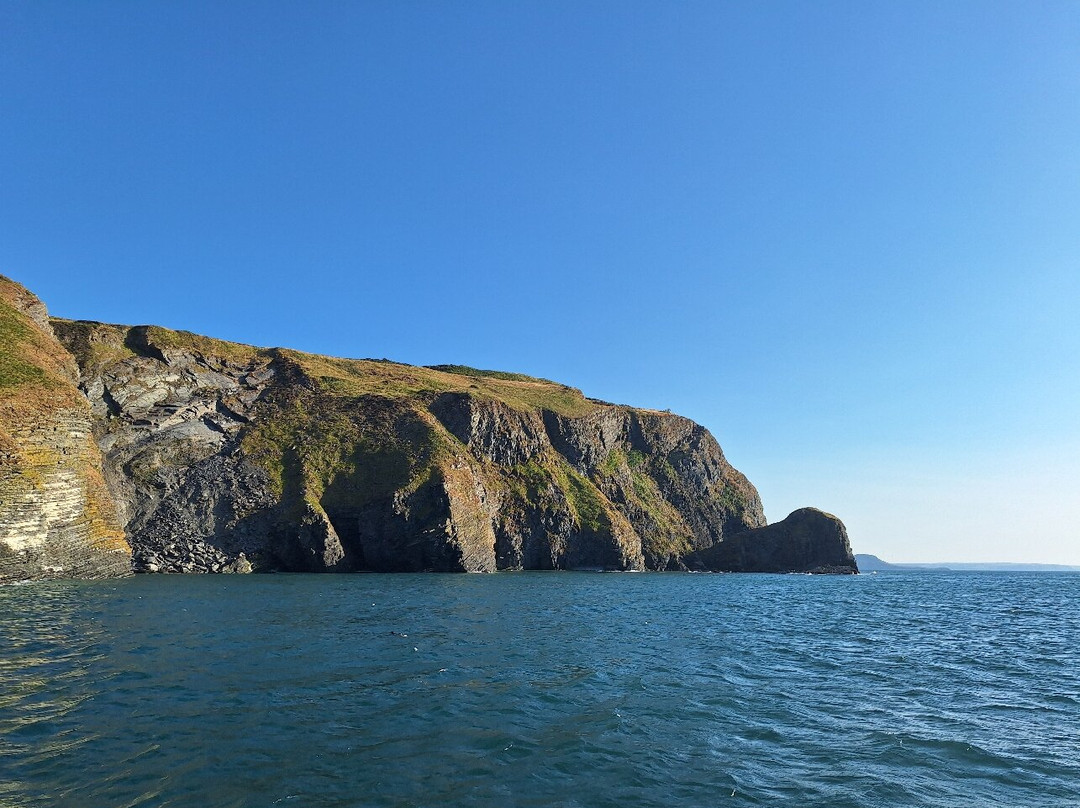 SeaMor Dolphin Watching Boat Trip-纽基必去景点
