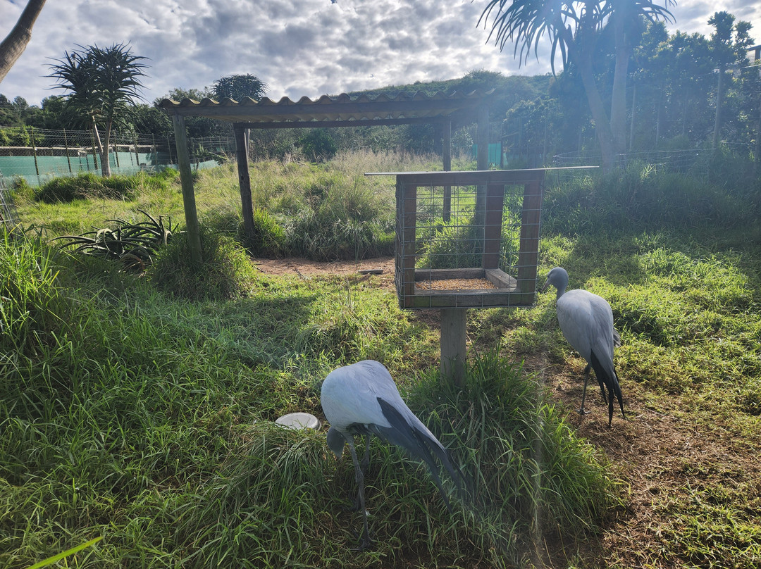 African Dawn Bird and Wildlife Sanctuary-Thornhill必去景点