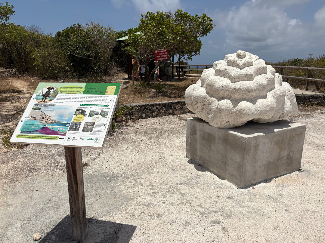 Pointe de la Grande Vigie-Anse-Bertrand必去景点