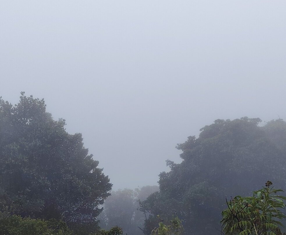 Poas Volcano-Poas Volcano National Park必去景点